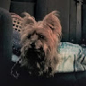 Meet your Posher, Cheryl